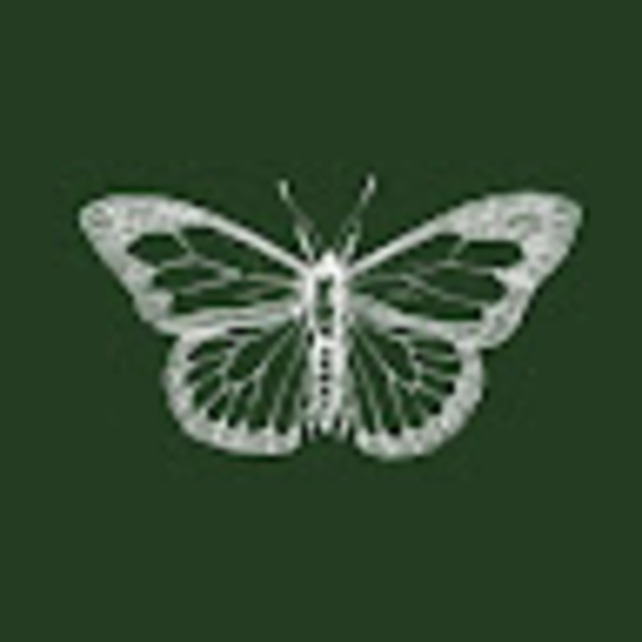 Meet your Posher, Leo - Picture 1 of 1